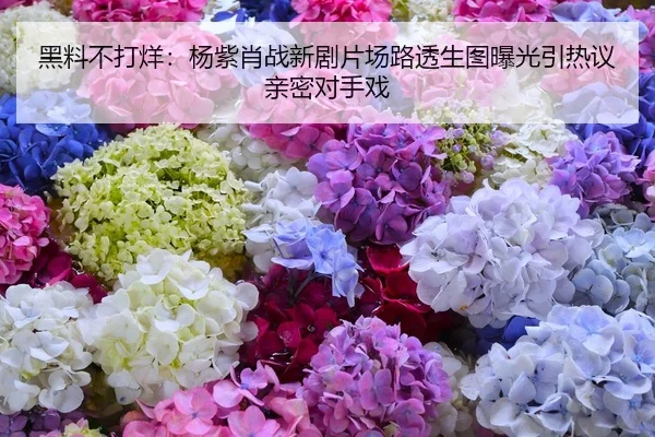 黑料不打烊：杨紫肖战新剧片场路透生图曝光引热议亲密对手戏
